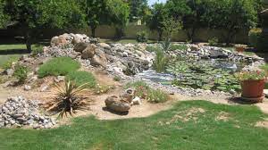 Stop by our pond supply & accessory store in peoria, arizona. Help With Koi Pond In Arizona Aquariacentral Com