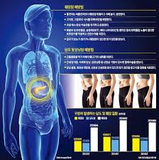 | 췌장암 완치 환자를 만나다. ë„¤ì´íŠ¸ ë‰´ìŠ¤
