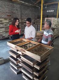 Yuk, simak tipsnya di bawah ini! Kontrak Kerja Sama Antara Pt Multi Cahaya Dinarto Dengan Pihak Luar Negeri