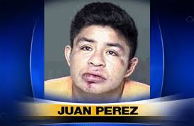 Truesee's Daily Wonder