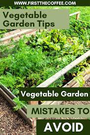 Vegetable Garden Mistakes To Avoid As A New Gardener Gardening For Beginners Vegetable Garden Planting Herbs