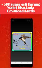Download Suara Asli Burung Walet Pour Android Telechargez L Apk