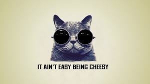 It Ain T Easy Being Cheesy Cool Cat Wallpaper By Saitoukazuma On Deviantart