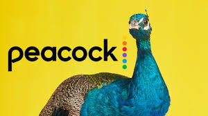 In other to have a smooth experience, it is important to know how to use the apk or apk mod file once you have downloaded it on your device. Nbc Launches Peacock Tv With 13 000 Hours Of Free Content The Plug Hellotech
