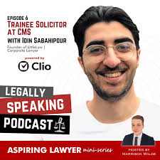 Aspiring Lawyer Miniseries