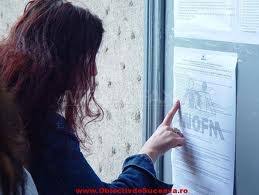 Casier(a), junior project manager, inginer planificare și altele! 1 Loc De MuncÄƒ La Carei Si 16 La TÄƒsnad Buletin De Carei