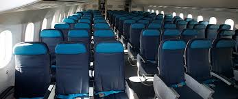 Economy Class Azerbaijan Airlines