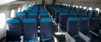 economy class azerbaijan airlines