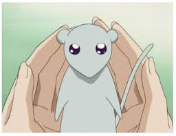 Year Of The Rat Fruits Basket Anime Fruit Basket Anime Yuki Sohma