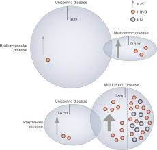 Castleman S Disease A Two Compartment Model Of Hhv8 Infection Nature Reviews Clinical Oncology