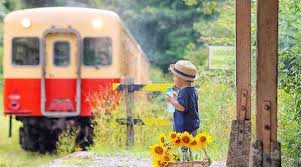 In aceasta categorie gasiti mersul trenurilor care pleaca sau sosesc in timisoara. Mersul Trenurilor De CÄƒlÄƒtori In GÄƒrile Din Suceava Ghid De Bucovina