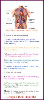 Step Of The Protect Of Kidney Disease Kidney Kidney Disease Kidney Health