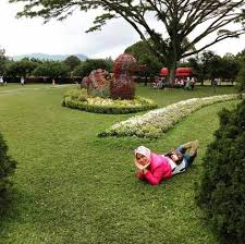 Taman bunga nusantara terlihat seperti taman bunga yang berada di eropa lho. Taman Bunga Nusantara Rute Tiket Masuk 2020 Wahana Wisata
