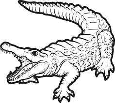 Seriously, though, i too can't distinguish these reptiles from each other, unless i take a good hard look on the pictures of both of them. Printable Alligator Coloring Page For Kids 2 Supplyme