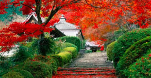 Paesaggio & Architettura in Giappone - viaggi - professione Architetto