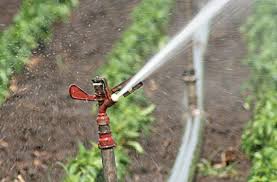 Toți participanții la piața de energie electrică sunt acreditați de autoritatea naționala de reglementare în energie. Energia Electrica Poate Salva Agricultura Si Agricultura Poate Salva Sistemul Energetic