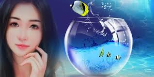 Online စာဖတ်​သူများ 🌺