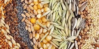 You can either type it in manually, or you you should also know that a seed is always a number (up to around 20 digits). Starting Seeds Indoors Vegetables In The Desert Absolutely