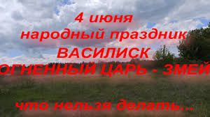 Василиск, владимир, данила, иван, макар, михаил, павел, софия. 4 Iyunya Narodnyj Prazdnik Den Vasiliska Narodnye Primety I Poverya Youtube