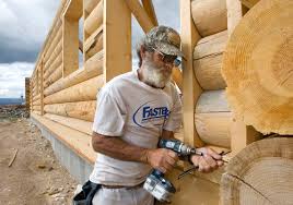 Utah's spruce forests are vanishing