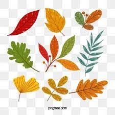 Hand Drawn Autumn Forest Leaves Hand Drawn Style Fall Leaf Png Transparent Clipart Image And Psd File For Free Download Leaf Drawing Watercolor Autumn Leaves Maple Leaf Drawing