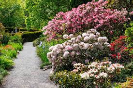 Not only do they provide all the benefits mentioned above, but they're beautiful, too. Beautiful Garden With Blooming Trees During Spring Time Wales Uk Stock Photo Picture And Royalty Free Image Image 123959904
