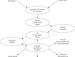 Flow Chart For Representing Ecological Communities In