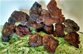 Aquarium Rocks For Sale Buy Here And Save On Your Next Aquascape 100 Natural Stones Aquascaping Aquarium Lavarocks Aquarium Rocks Aquarium Aquascape