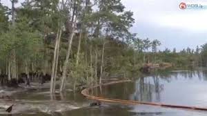 massive sinkhole in bayou corne grows