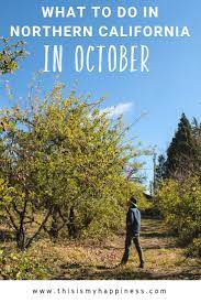 What To Do In Northern California This October California Travel Road Trips California Travel Guide California Travel