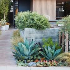 Front yard landscaping can be challenging when you have a small area to work on. Low Water Landscapes 8 Ideas For Dry Gardens From Designer Daniel Nolan Gardenista