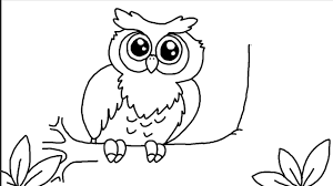 Burung hantu gambar vektor unduh gambar gratis pixabay. Cara Menggambar Burung Hantu Imut Dengan Mudah Youtube