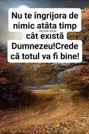 Pin By Pirvuletu Olga On A In 2020 Citate Memorabile Citate Amuzante Citate Creștine