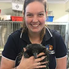 Here at pet and bird clinic in austin, tx, we are dedicated to keeping your pets happy and healthy! Meet Our Team Keen Street Veterinary Clinic