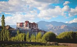 Stok Wellness - Ladakh, India