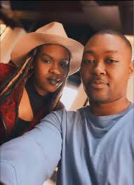 What premium golf ball has similar characteristics to the Bridgestone E6  for an 11HC golfer?