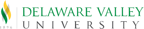 You can now download for free this university of pennsylvania logo transparent png image. Dream Design Do Delaware Valley University