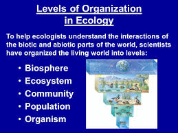 Image result for organisms and their environment