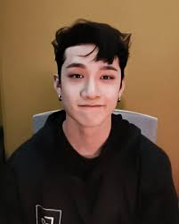 He Is The Cutest Ever And No One Can Convince Me Other Wise Stray Kids Chan Chris Chan Kids Photos