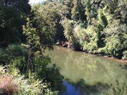 See unbiased reviews of asados al palo de boldo on tripadvisor. Ribera Rio Coihueco Picture Of Los Lingues Lodge Puerto Octay Tripadvisor