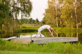 A beginner's morning yoga routine for 15 minutes per day can energize your body and set you up for a morning of intention and purpose. Good Morning Yoga Sequence