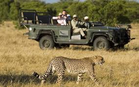 L'afrique du sud, en forme longue la république d'afrique du sud, est un pays situé à l'extrémité australe du continent africain. Safari De Luxe En Afrique Du Sud En Lodge Hotels 4 Et 5 En 9 Jours 8 Nuits Johannesburg Jusqu A 70 Voyage Prive