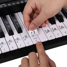 We did not find results for: Buy Piano Sticker Piano Keyboard Sticker Key Electronic Keyboard 88 Key Piano Stave Note Sticker At Affordable Prices Free Shipping Real Reviews With Photos Joom