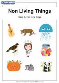 Check spelling or type a new query. Non Living Things Worksheets For Preschool Kindergarten Grade General Awareness Worksheets Schoolmykids Com
