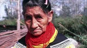 Seminole Healer Susie Jim Billie