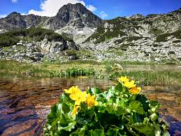 Obiective turistice straja, statiunea straja este una dintre cele mai noi statiuni din romania, situata la aproximativ 9 km de localitatea lupeni si la o altitudine de 1400 metri. Locuri Frumoase In JudeÈ›ul Hunedoara Servuspress