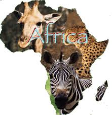 .. un viaje a la sabana africana ... - Página 10 Images?q=tbn:ANd9GcQ5D2TKeKbmwe4Ll1cBxcXzAGWXaxLn3bH-hT5r7jcCtU72acgKNw