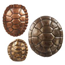 Turtle Shell Wall Decor Set 3 Turtle Turtle Time Wall Decor Set