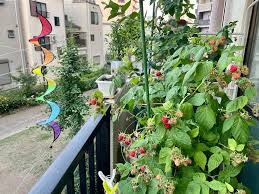 みんなの趣味の園芸