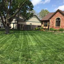 Find the best lawncare specialist in minutes. Grassroots Lawn Care Home Facebook
